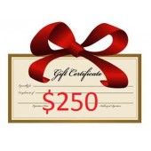 $250 Gift Certificate (save $25)